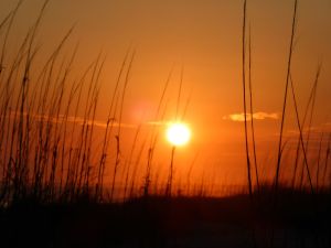 Charleston Theme Division Meetup