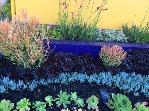 Venice Beach canal garden