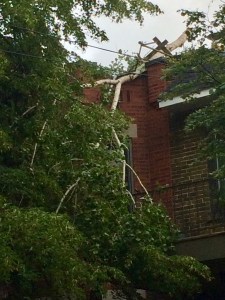 broken tree on roof