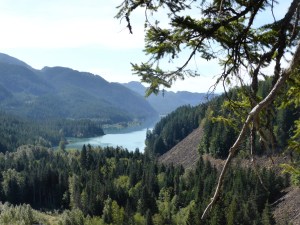 Landscape with turquoise lake and pine trees