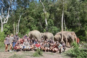 group with elephants