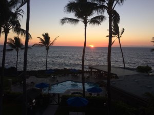 sunset with pool and palm trees