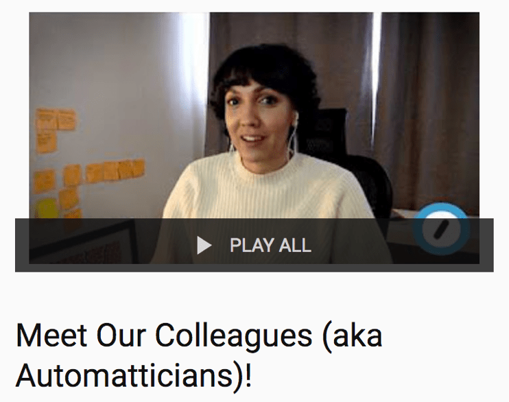 Meet Our Colleagues (aka Automatticians)! - YouTube
