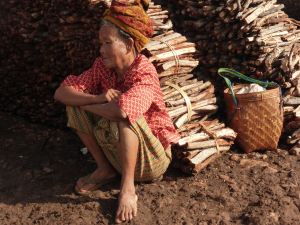 woman sitting near firewood for sale