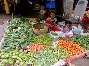 market woman sitting, surrounded by fresh vegetables