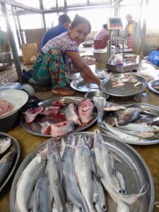 market woman with fish