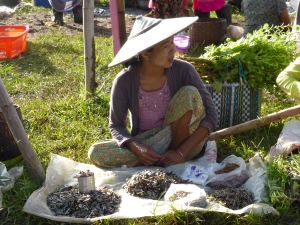 woman selling dried fish