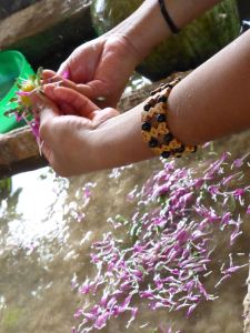 distributing flowers in mulberry paper