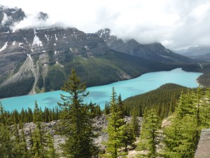 turquoise lake in the shape of a coyote