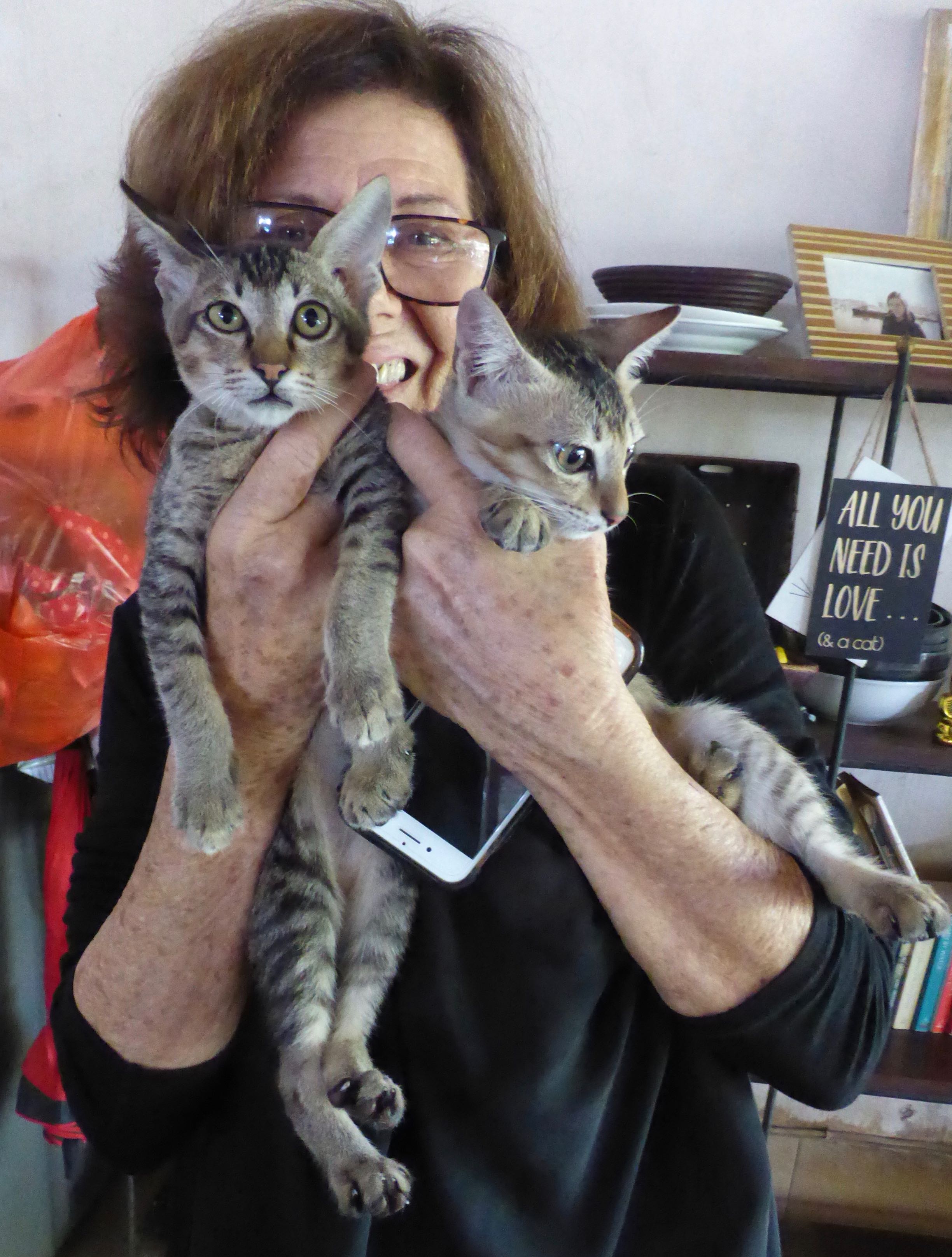 Elizabeth Henzell, founder of Villa Kitty