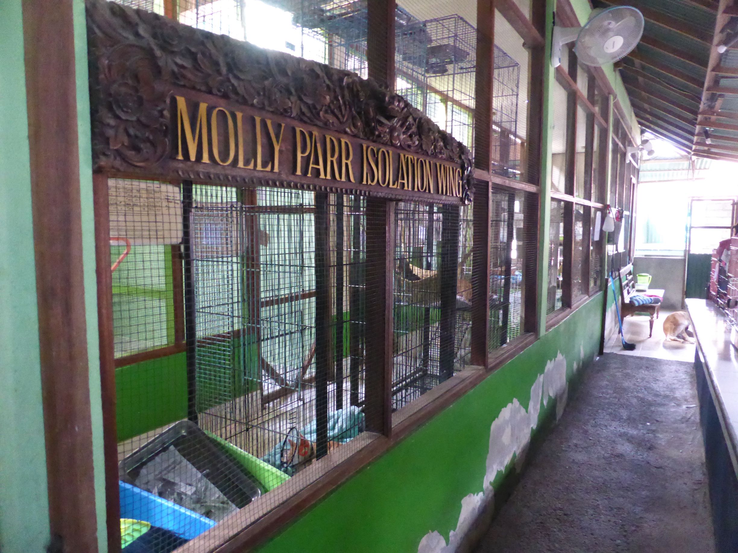 Molly Parr Isolation ward