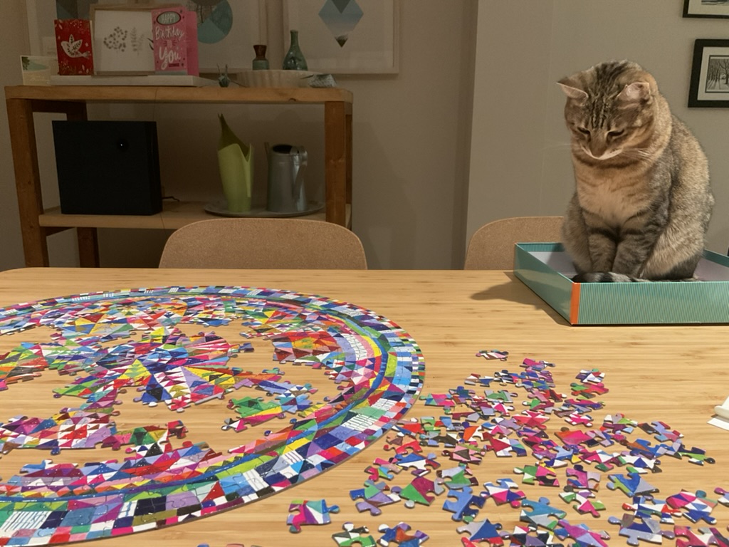 cat sitting in box beside a partially done puzzle