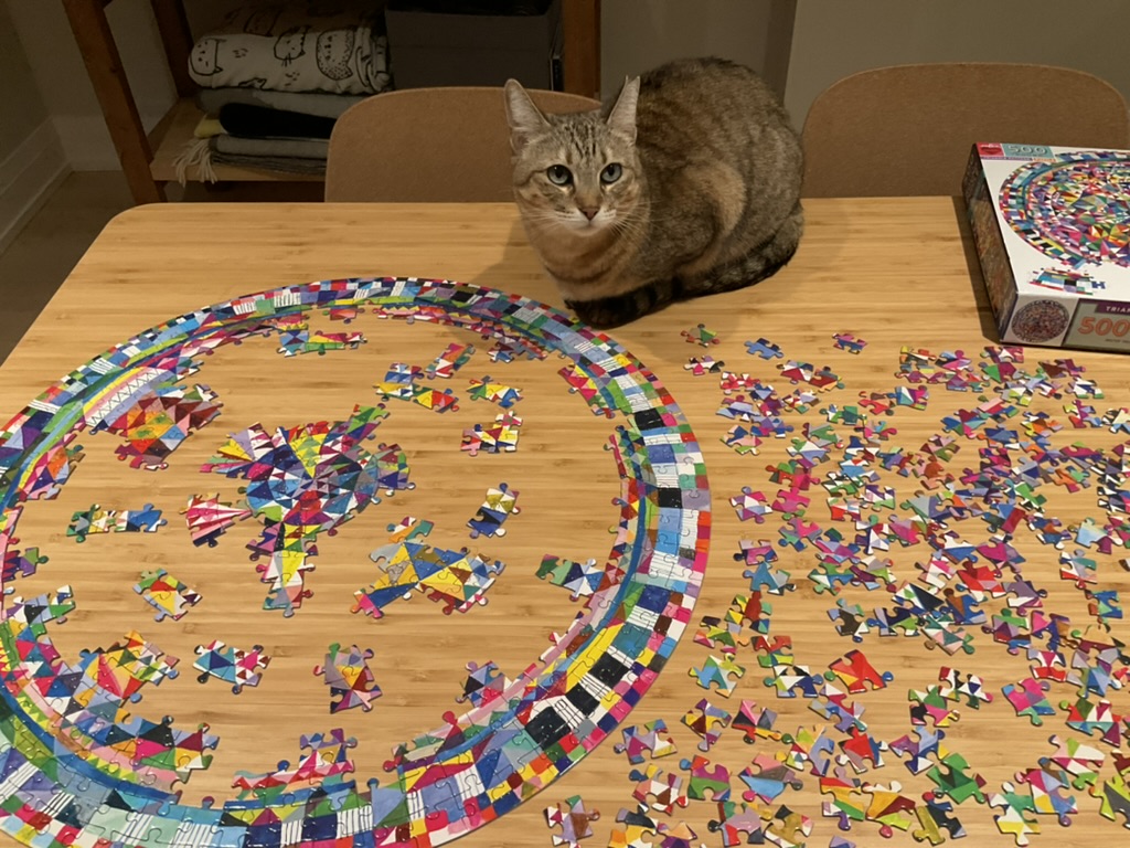 cat sitting beside a partially done puzzle