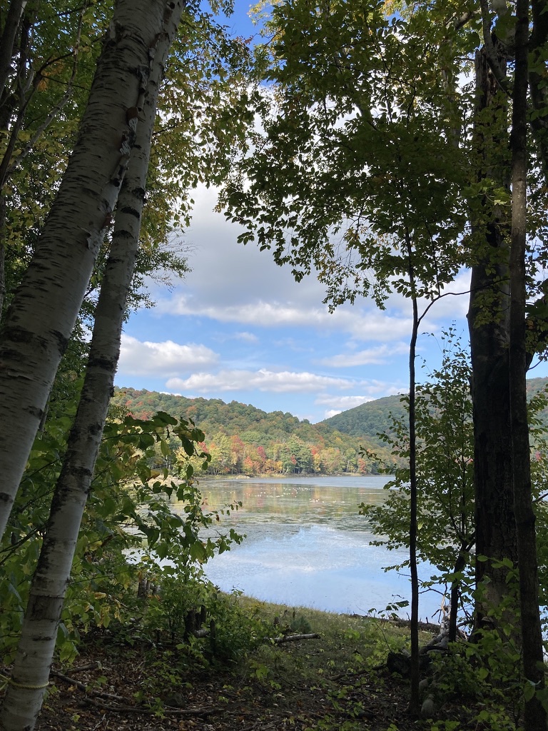 Fall forest and lake